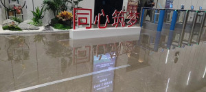 江苏省清洁服务行业协会副会长单位南京伊洁特斯环境科技公司受邀参加滨江雅居乐小区石材病变处理项目